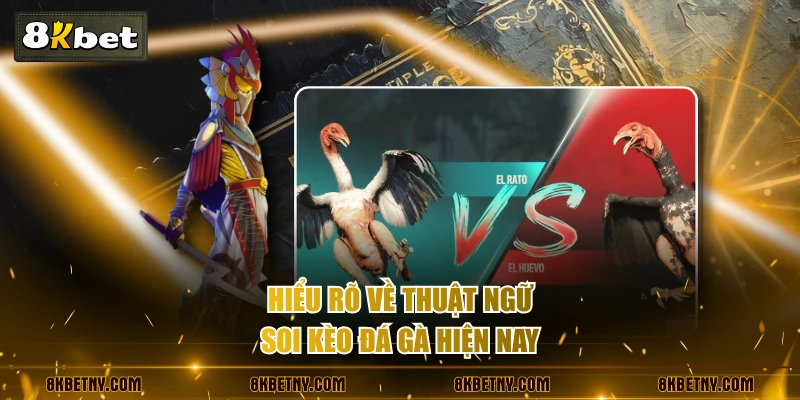 Hướng Dẫn Soi Kèo Đá Gà Chuẩn Xác Từng Bước Cho Kê Thủ 2 Hiểu rõ về thuật ngữ soi kèo đá gà hiện nay